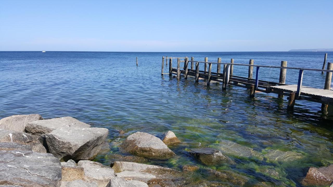 Апартаменты Urlaub Auf Der Insel Ruegen Берген-ауф-Рюген Экстерьер фото