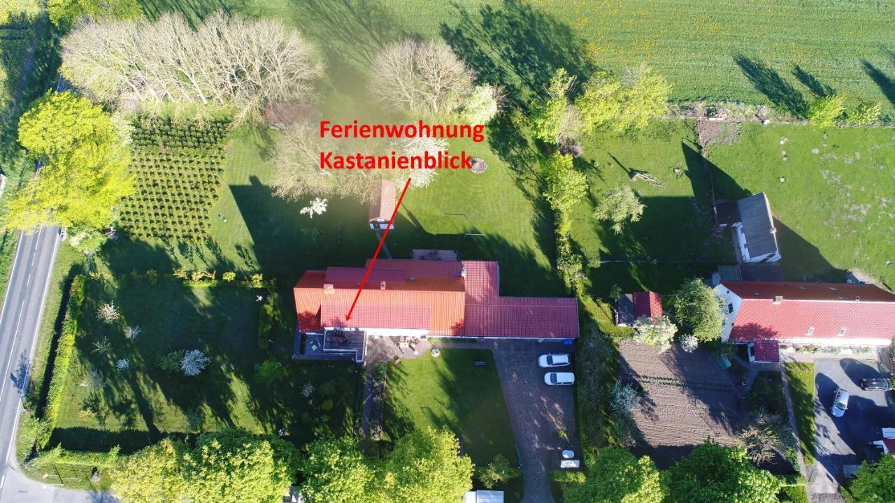 Апартаменты Urlaub Auf Der Insel Ruegen Берген-ауф-Рюген Номер фото