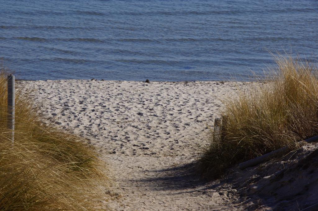 Апартаменты Urlaub Auf Der Insel Ruegen Берген-ауф-Рюген Экстерьер фото